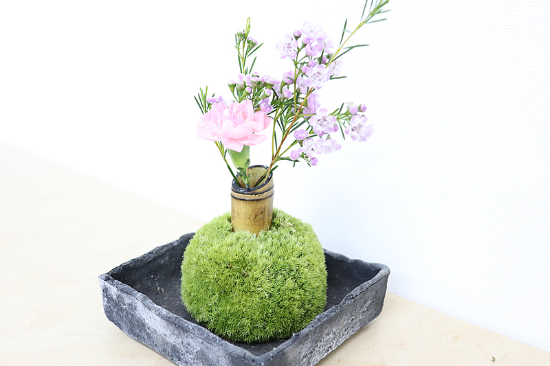 苔玉の一輪挿し